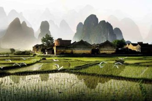 算命属相是按立春算还是春节算,属相是按立春算还是春节算