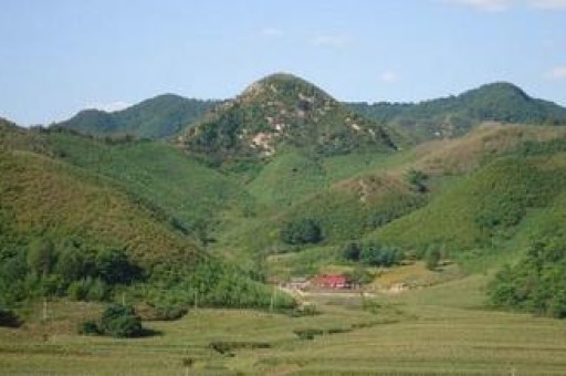 属虎在2025年桃花运